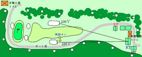 No.11